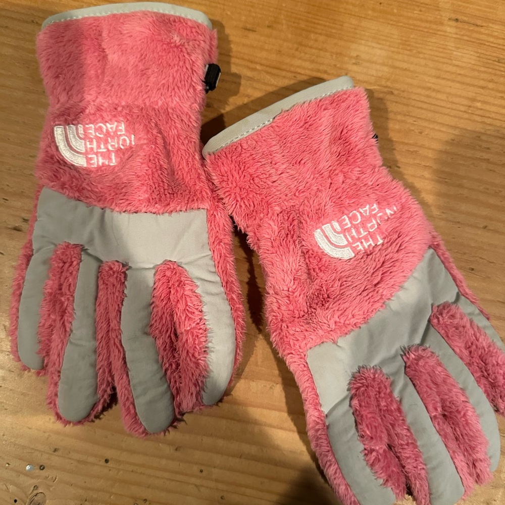 North Face Gloves